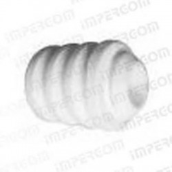 Tampone paracolpo...