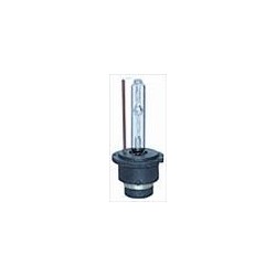 Lampadina D2R 6000K