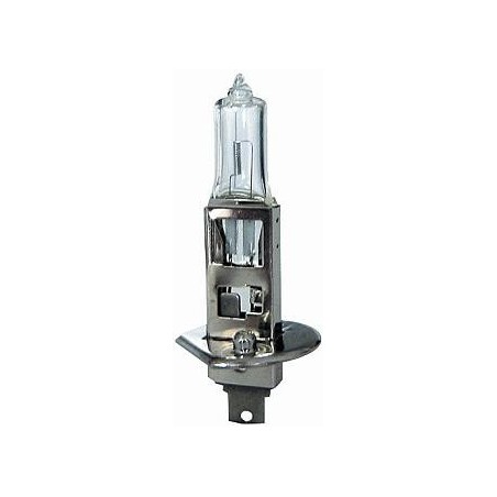 Lampadina H1 12/55