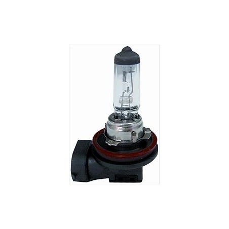 Lampadina H11 12/55