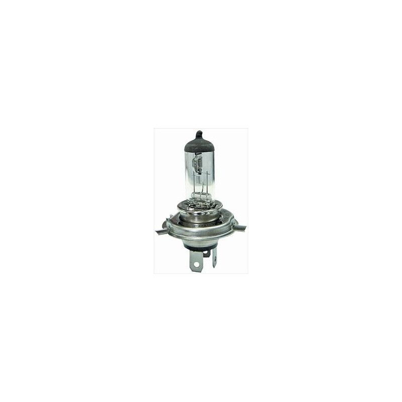 Lampadina H4 12/60/55 Lampadina H4 12/60/55