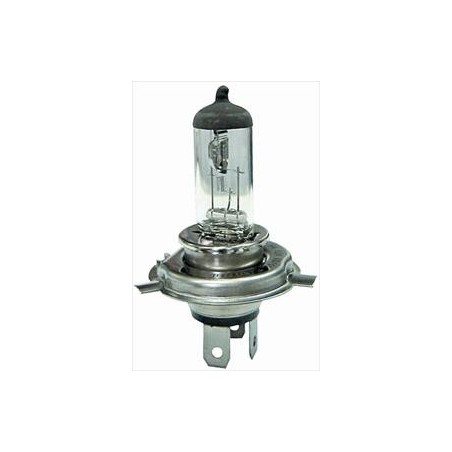 Lampadina H4 12/60/55