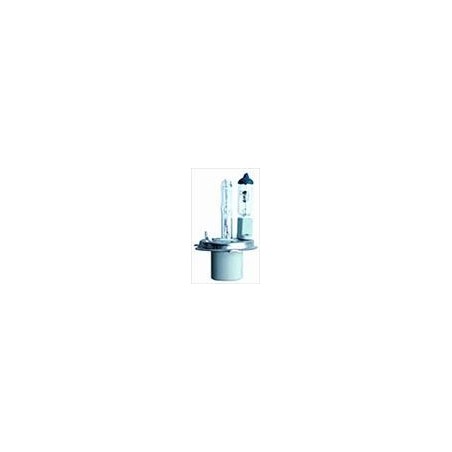 Lampadina H4-2 6000K