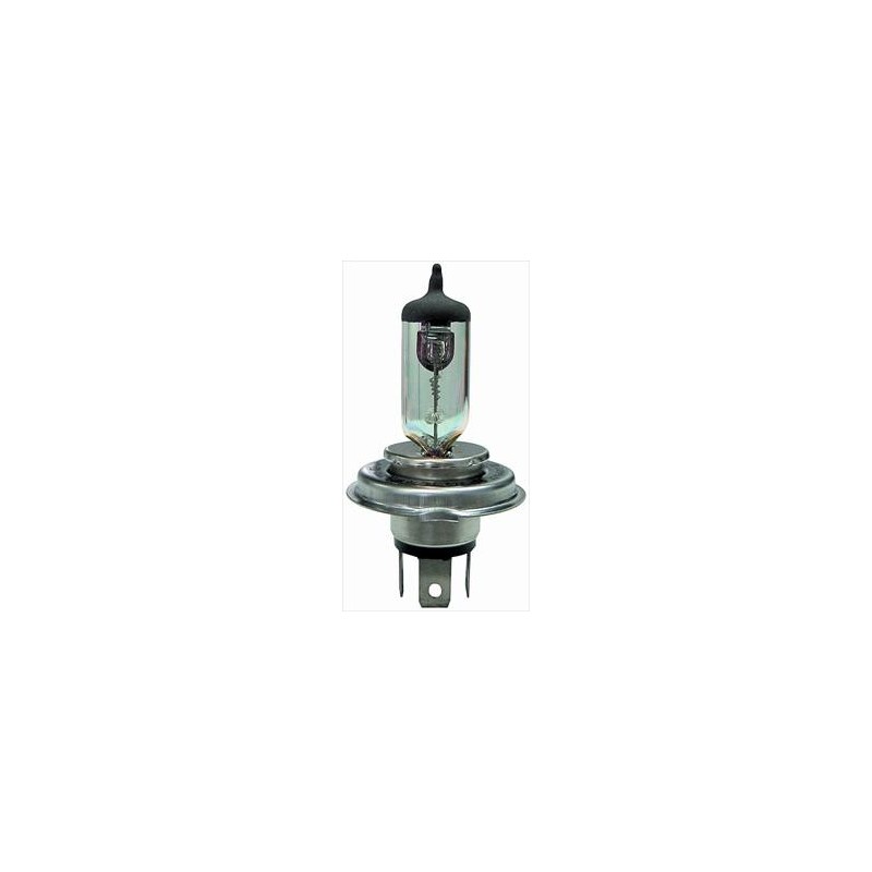 Lampadina H5 12/60/55 all weather Lampadina H5 12/60/55 all weather