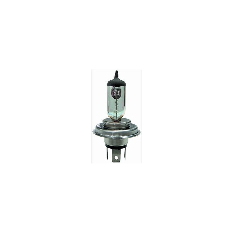 Lampadina H5 24/75/70 all weather Lampadina H5 24/75/70 all weather