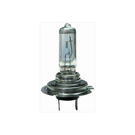 Lampadina H7 12/55 day view