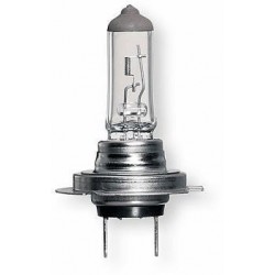 Lampadina H7 24V 70W