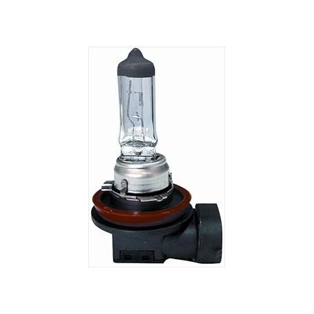 Lampadina H8 12/35