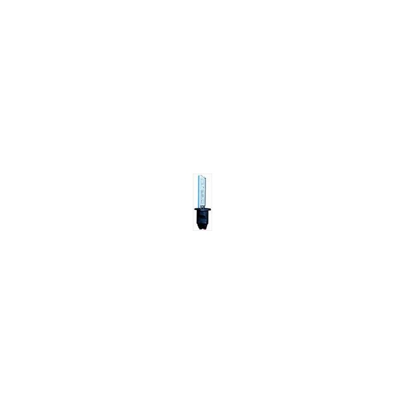Lampadina Xenon H1 6000K Lampadina Xenon H1 6000K