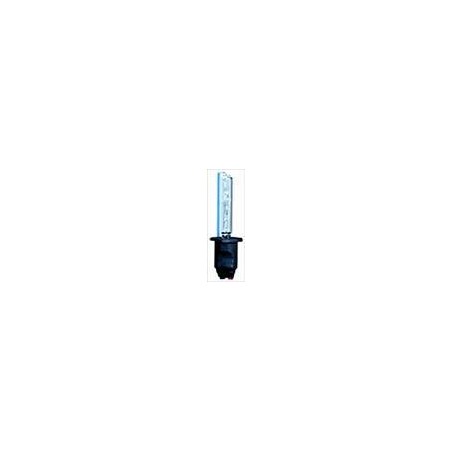 Lampadina Xenon H1 6000K