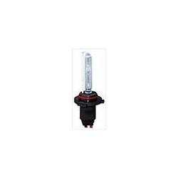 Lampadina Xenon H10 6000K