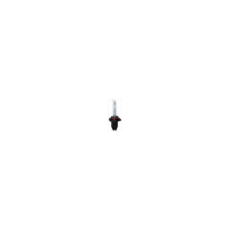 Lampadina Xenon H10 6000K Lampadina Xenon H10 6000K