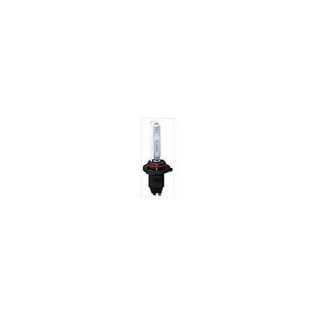 Lampadina Xenon H10 6000K
