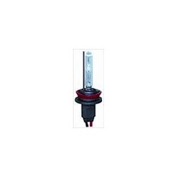 Lampadina Xenon H11 6000K