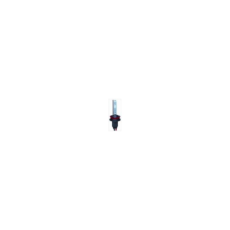 Lampadina Xenon H11 6000K Lampadina Xenon H11 6000K