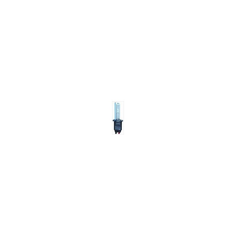 Lampadina Xenon H3 6000K Lampadina Xenon H3 6000K