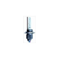 Lampadina Xenon H7 6000K
