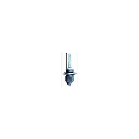 Lampadina Xenon H7 6000K