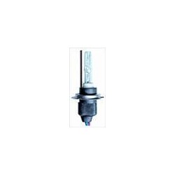 Lampadina Xenon H7R bulbo corto 6000K