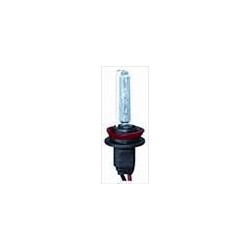 Lampadina Xenon H8 6000K