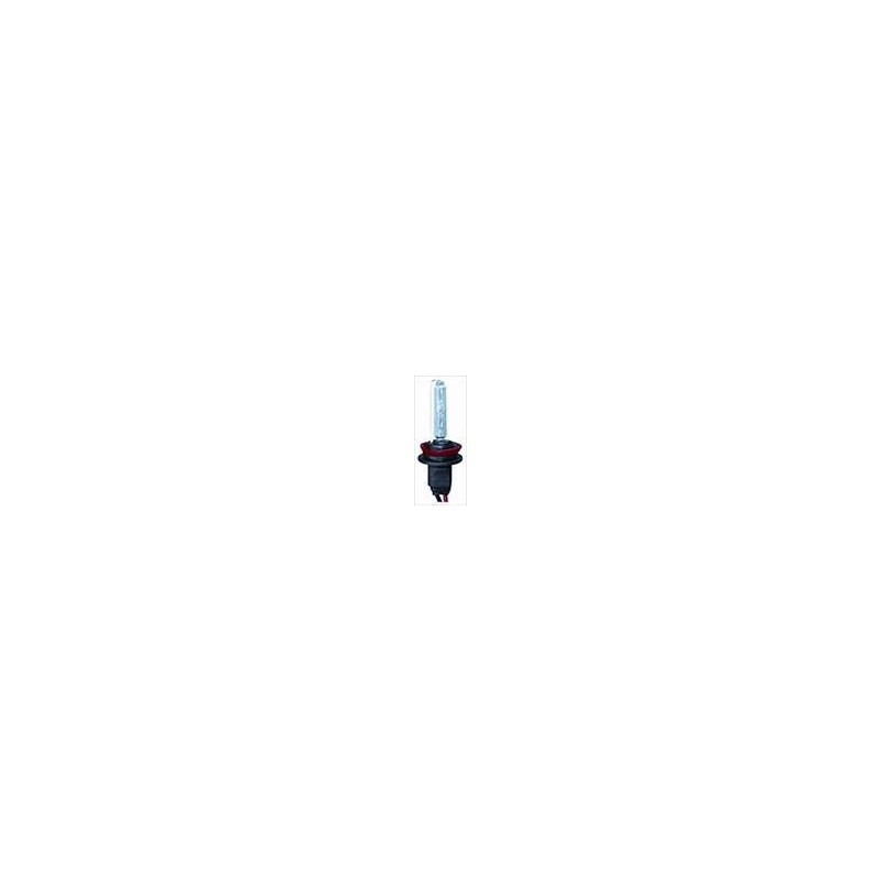 Lampadina Xenon H8 6000K Lampadina Xenon H8 6000K