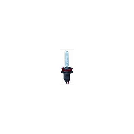 Lampadina Xenon H8 6000K