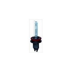 Lampadina Xenon H9 6000K