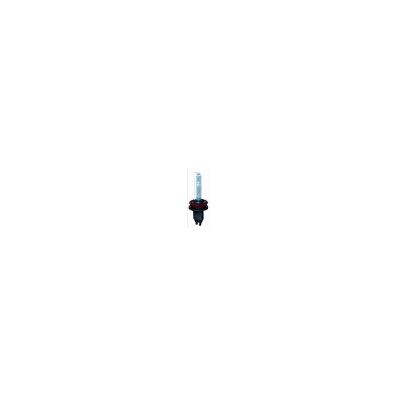 Lampadina Xenon H9 6000K Lampadina Xenon H9 6000K