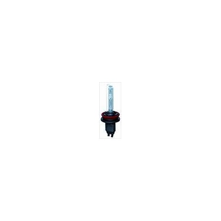 Lampadina Xenon H9 6000K