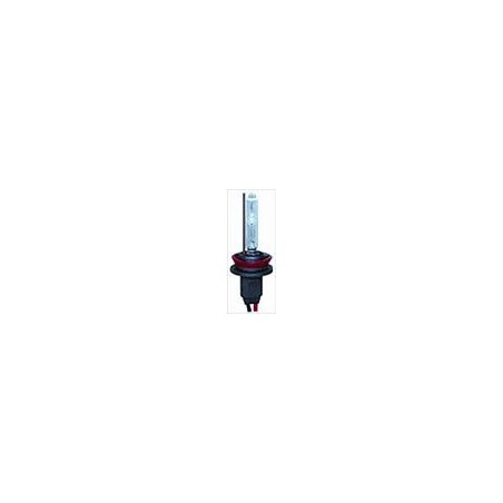 Lampadina Xenon HB4 9006 6000K