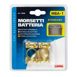 Coppia morsetti batteria...