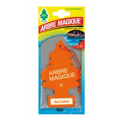 Arbre Magique - Ibiza Cocktail