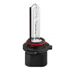 12V Lampada ricambio Xenon...