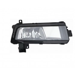 Fendinebbia H11 passeggero dx