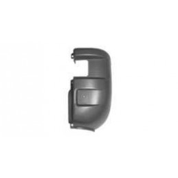Cantonale posteriore grigio dx