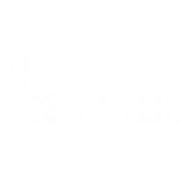 Griglia paraurti anteriore...