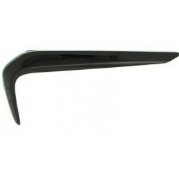 Modanatura griglia paraurti...