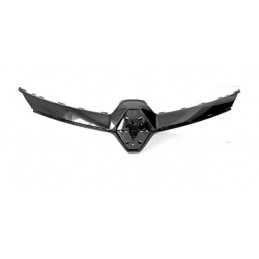 Griglia mascherina radiatore