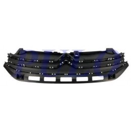 Griglia mascherina radiatore