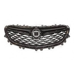 Griglia mascherina radiatore