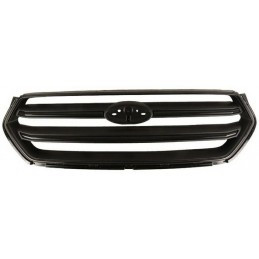 Griglia mascherina radiatore