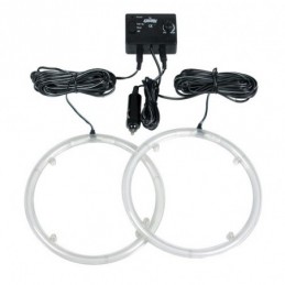 NR-15 Neon Rings 12V...