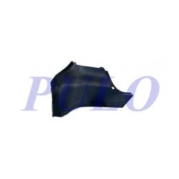 Cantonale posteriore sx