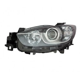 Faro D4S P12W PY21W W5W con...