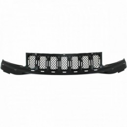 Griglia mascherina radiatore