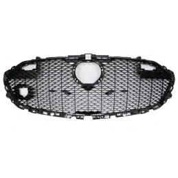 Griglia mascherina radiatore