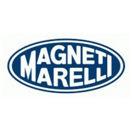 Griglia mascherina...