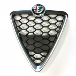 Scudo griglia mascherina...