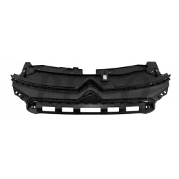 Griglia mascherina radiatore