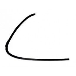 Modanatura griglia paraurti...